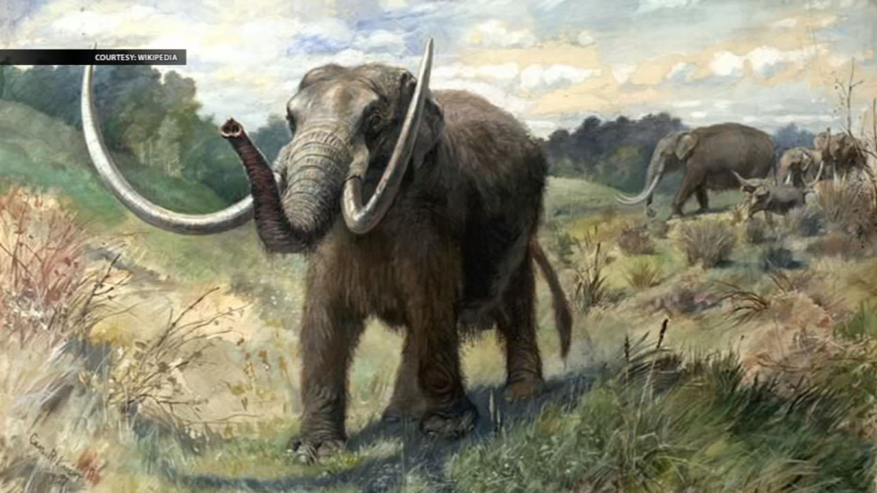 Ancient discovery made on southern Indiana farm